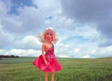 click image to enlarge