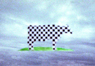 click image to enlarge