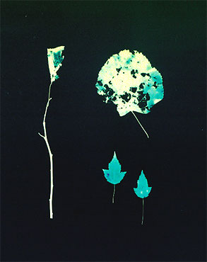 click image to enlarge